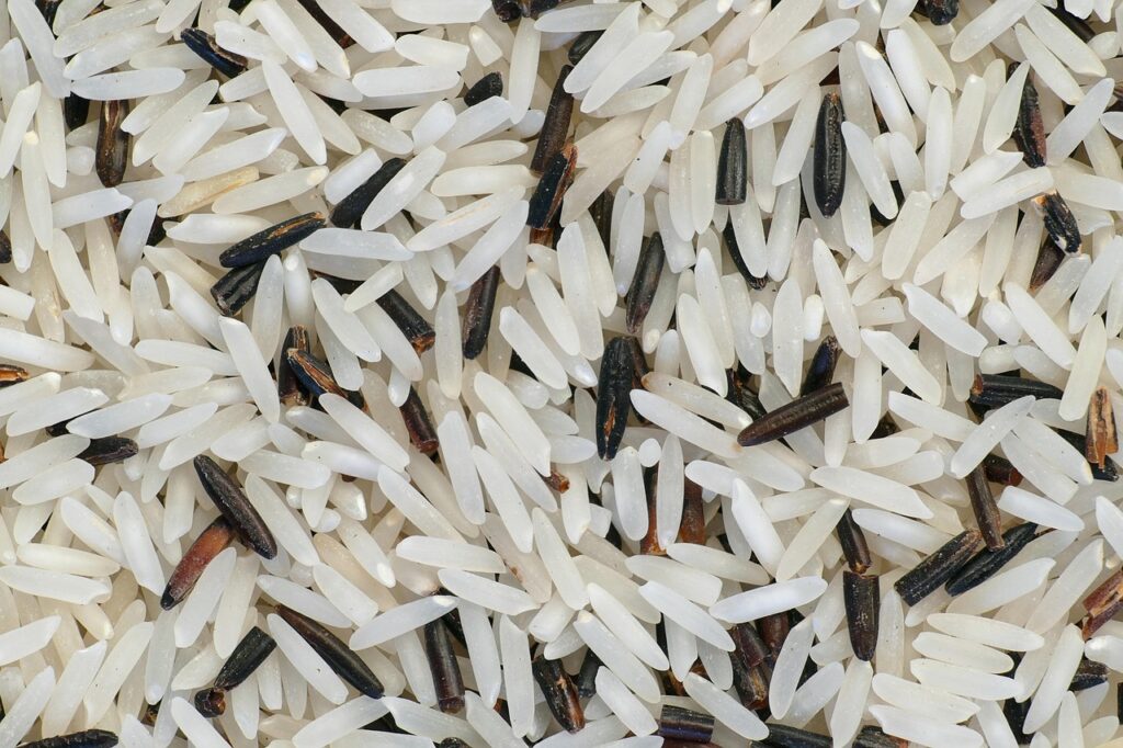 Lustucru - Riz Complet Cuisson 10 Min : Une Valeur Sûre pour les Professionnels 1