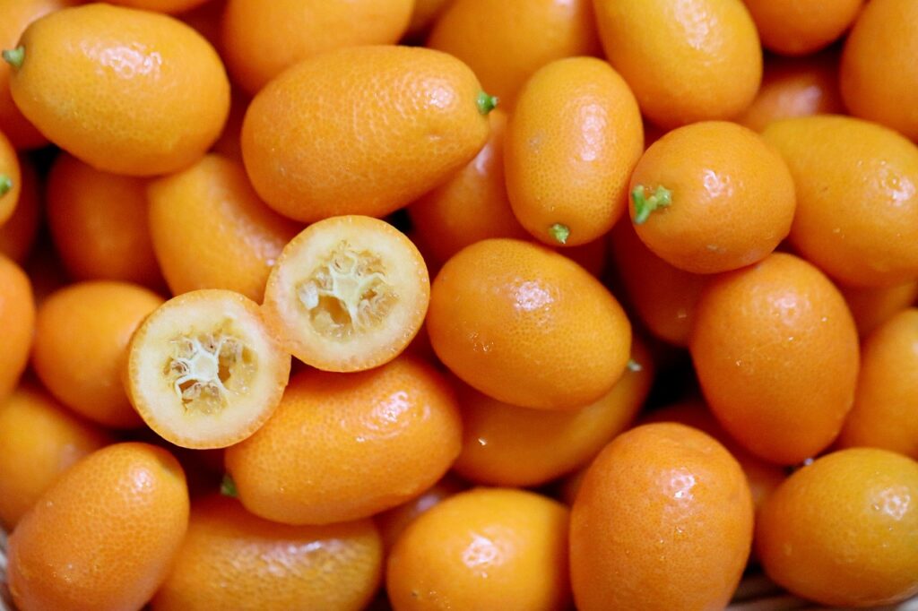 Schweppes Orange 0,5 L – Profitez d’un déstockage exceptionnel pour vos boissons rafraîchissantes ! 1
