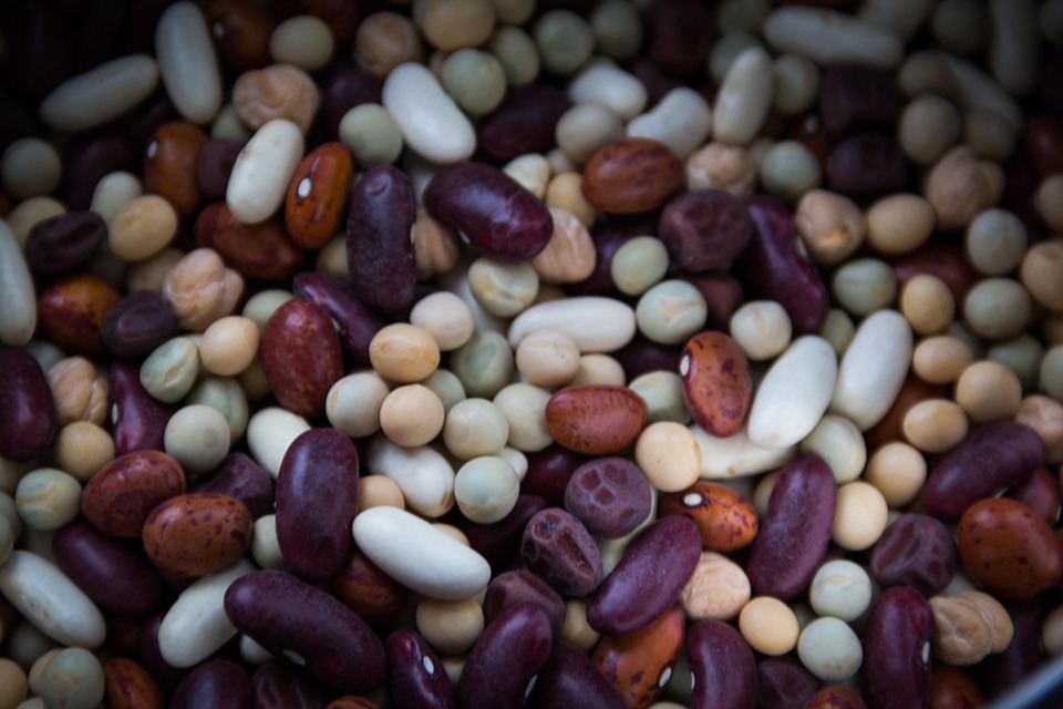 Bonduelle haricots violets 400g : Une opportunité gourmande pour vos affaires ! 1