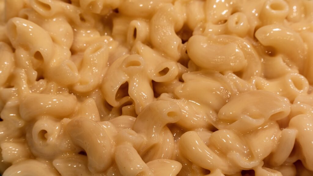 Barilla Sedani Rigati 500g : Une Offre Gros Volumes pour les Professionnels 1