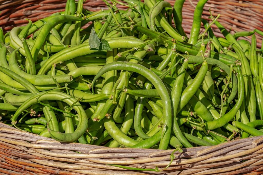 Bonduelle Haricots du Texas Cayenne 430g : Profitez de l'expertise Bonduella en gros ! 1
