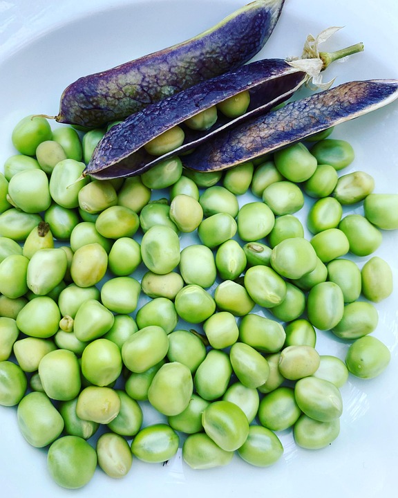 Bonduelle petits pois en conserve extra 400g : l'essence de la qualité pour vos clients 1