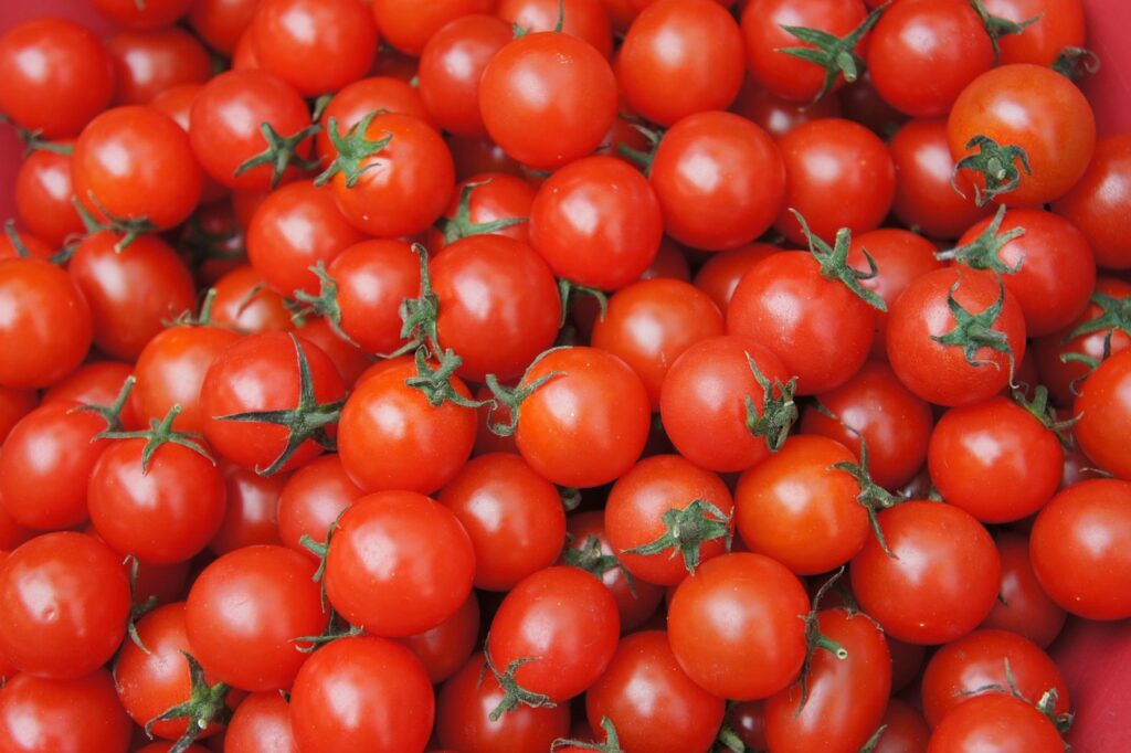 Mutti - pulpe de tomates concassées en dés en bouteille 1